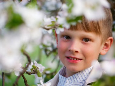 2020 'de bahçede çimlerin üzerinde çiçek açan elma ağaçlarının yanında bir çocuk.