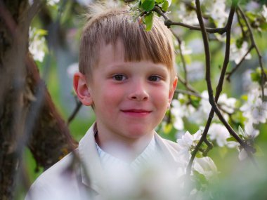 2020 'de bahçede çimlerin üzerinde çiçek açan elma ağaçlarının yanında bir çocuk.