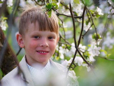 2020 'de bahçede çimlerin üzerinde çiçek açan elma ağaçlarının yanında bir çocuk.