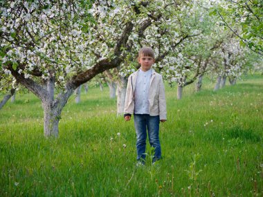 2020 'de bahçede çimlerin üzerinde çiçek açan elma ağaçlarının yanında bir çocuk.