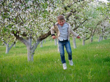 2020 'de bahçede çimlerin üzerinde çiçek açan elma ağaçlarının yanında bir çocuk.