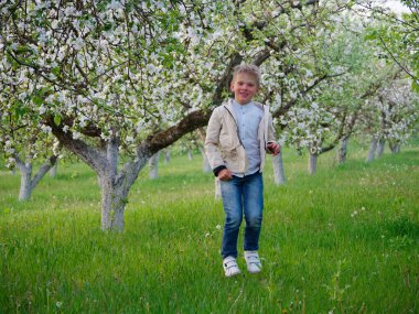 2020 'de bahçede çimlerin üzerinde çiçek açan elma ağaçlarının yanında bir çocuk.