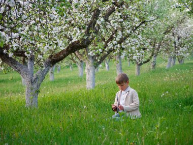 2020 'de bahçede çimlerin üzerinde çiçek açan elma ağaçlarının yanında bir çocuk.