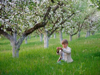 2020 'de bahçede çimlerin üzerinde çiçek açan elma ağaçlarının yanında bir çocuk.