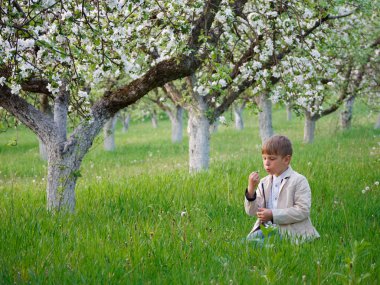 2020 'de bahçede çimlerin üzerinde çiçek açan elma ağaçlarının yanında bir çocuk.