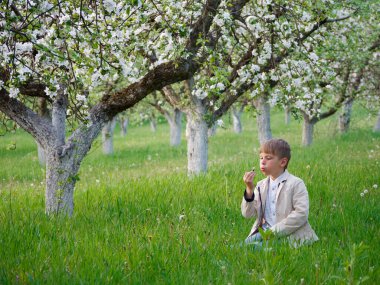 2020 'de bahçede çimlerin üzerinde çiçek açan elma ağaçlarının yanında bir çocuk.