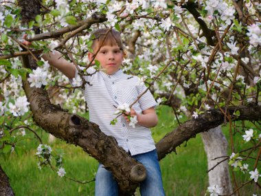 2020 'de bahçede çimlerin üzerinde çiçek açan elma ağaçlarının yanında bir çocuk.