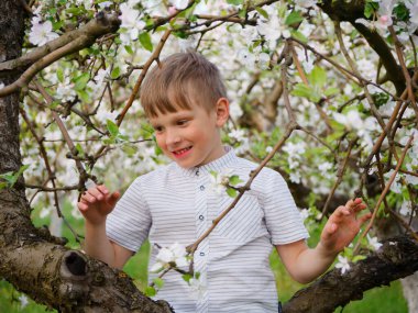 2020 'de bahçede çimlerin üzerinde çiçek açan elma ağaçlarının yanında bir çocuk.