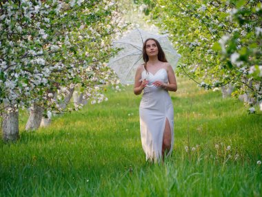 2020 bahçesinde çiçek açan elma ağaçlarında beyaz şemsiyeli bir kız.