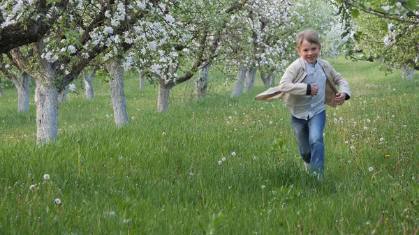 2020 'de bahçede çimlerin üzerinde çiçek açan elma ağaçlarının yanında bir çocuk.