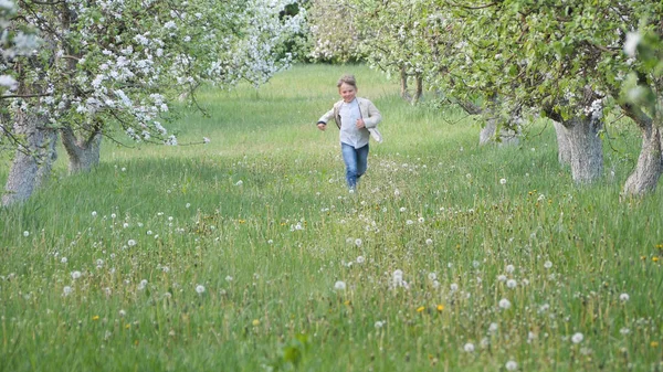 2020 'de bahçede çimlerin üzerinde çiçek açan elma ağaçlarının yanında bir çocuk.