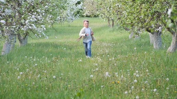 Niño Hierba Cerca Los Manzanos Flor Jardín 2020 — Foto de Stock