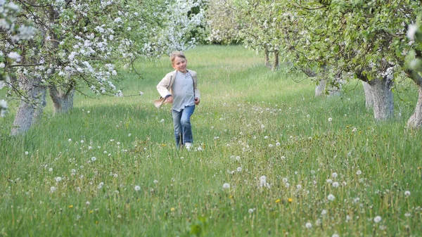 2020 'de bahçede çimlerin üzerinde çiçek açan elma ağaçlarının yanında bir çocuk.