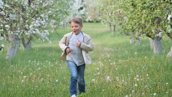 2020 'de bahçede çimlerin üzerinde çiçek açan elma ağaçlarının yanında bir çocuk.