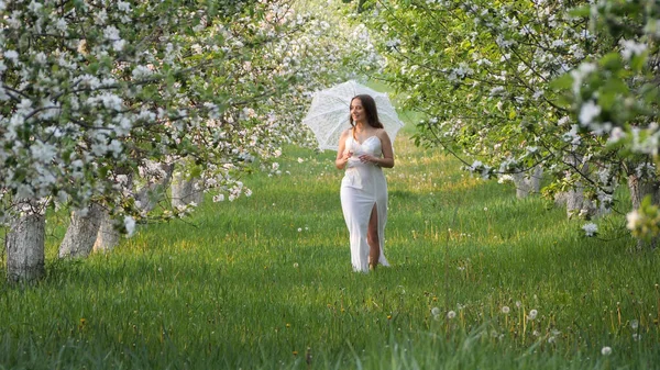 2020 bahçesinde çiçek açan elma ağaçlarında beyaz şemsiyeli bir kız.