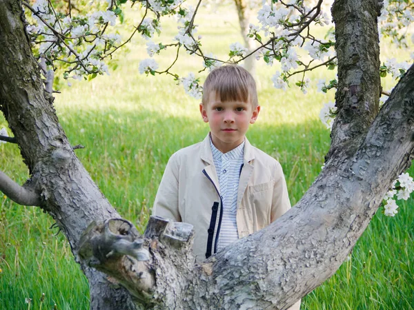 2020 'de bahçede çimlerin üzerinde çiçek açan elma ağaçlarının yanında bir çocuk.