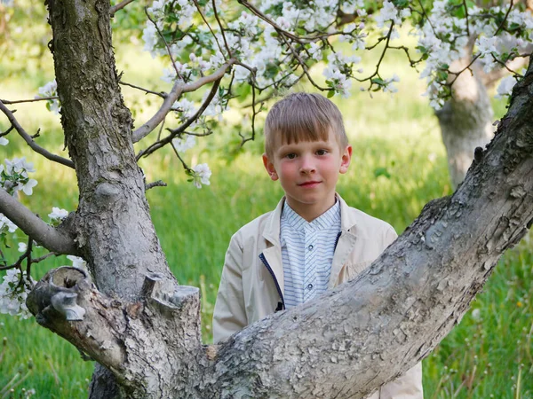 2020 'de bahçede çimlerin üzerinde çiçek açan elma ağaçlarının yanında bir çocuk.