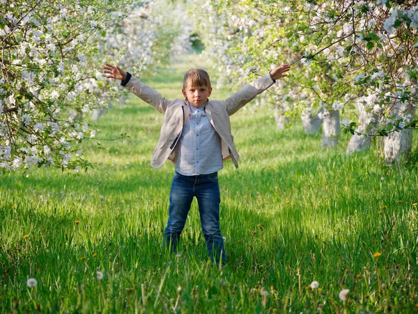 2020 'de bahçede çimlerin üzerinde çiçek açan elma ağaçlarının yanında bir çocuk.