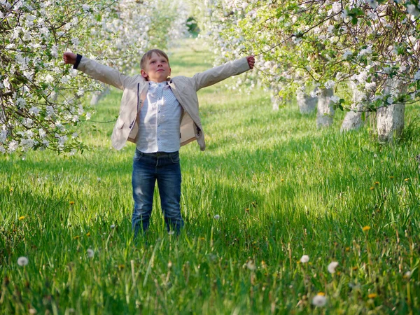 2020 'de bahçede çimlerin üzerinde çiçek açan elma ağaçlarının yanında bir çocuk.