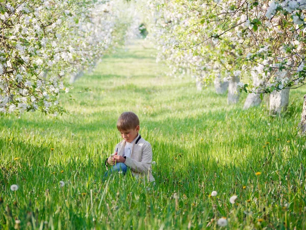 2020 'de bahçede çimlerin üzerinde çiçek açan elma ağaçlarının yanında bir çocuk.