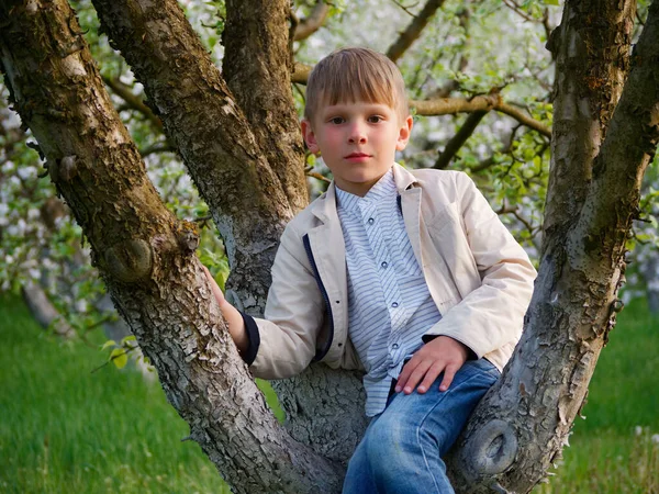 Niño Hierba Cerca Los Manzanos Flor Jardín 2020 — Foto de Stock