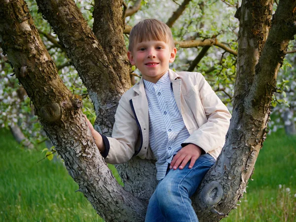 庭に咲くリンゴの木の近くの芝生の上の少年2020 — ストック写真