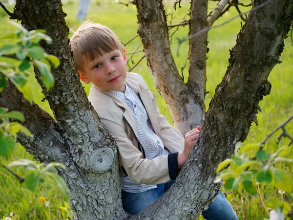 Ragazzo Sull Erba Vicino Meli Fiore Nel Giardino 2020 — Foto Stock