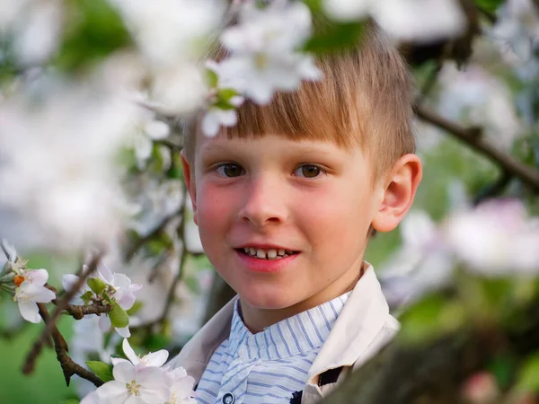 庭に咲くリンゴの木の近くの芝生の上の少年2020 — ストック写真