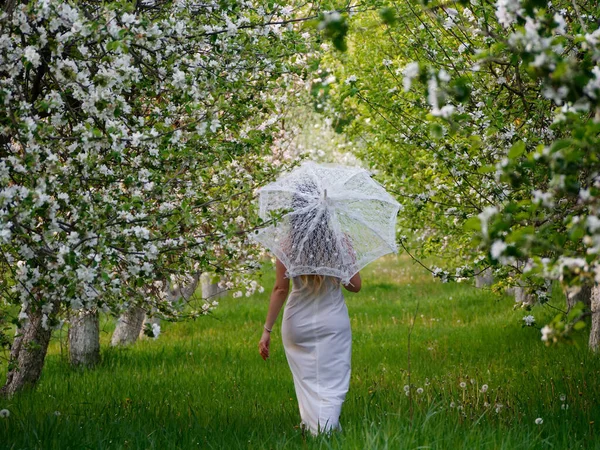 Mädchen Mit Weißem Regenschirm Blühenden Apfelbäumen Garten 2020 — Stockfoto