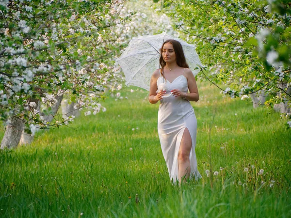 Fille Avec Parapluie Blanc Dans Les Pommiers Fleurs Dans Jardin — Photo