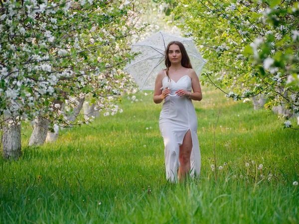 Fille Avec Parapluie Blanc Dans Les Pommiers Fleurs Dans Jardin — Photo