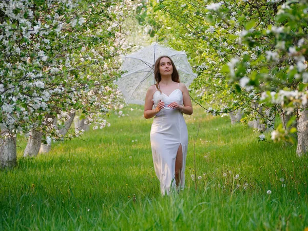 Mädchen Mit Weißem Regenschirm Blühenden Apfelbäumen Garten 2020 — Stockfoto