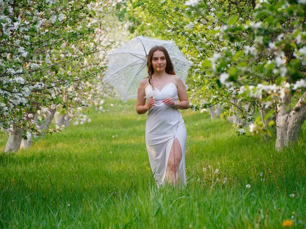 Fille Avec Parapluie Blanc Dans Les Pommiers Fleurs Dans Jardin — Photo