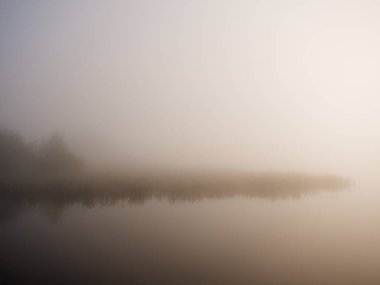 2020 'deki sel ovasının yanındaki nehirde sisli bir sabah