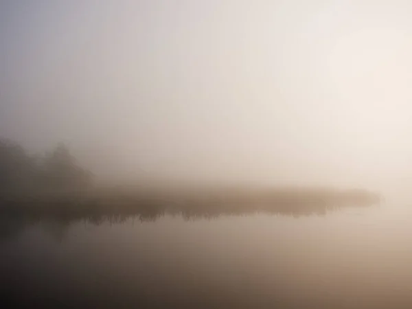 Matin Brumeux Sur Rivière Près Prairie Inondable 2020 — Photo