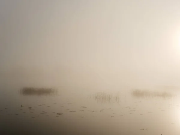 Foggy Morning River Floodplain Meadow 2020 — Stock Photo, Image