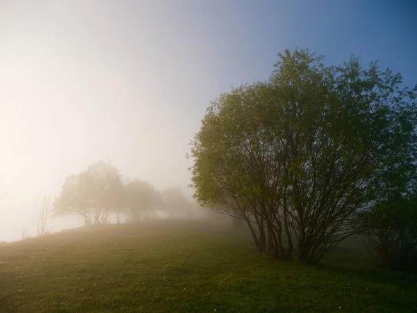 Ködös Reggel Folyón Ártéri Mező Közelében 2020 — Stock Fotó