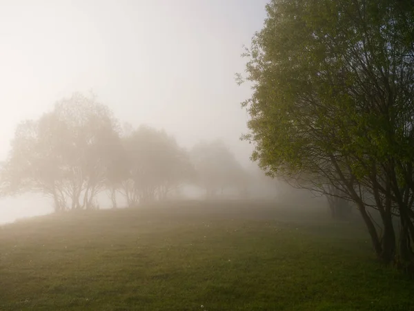 Matin Brumeux Sur Rivière Près Prairie Inondable 2020 — Photo