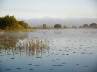 2020 'deki sel ovasının yanındaki nehirde sisli bir sabah