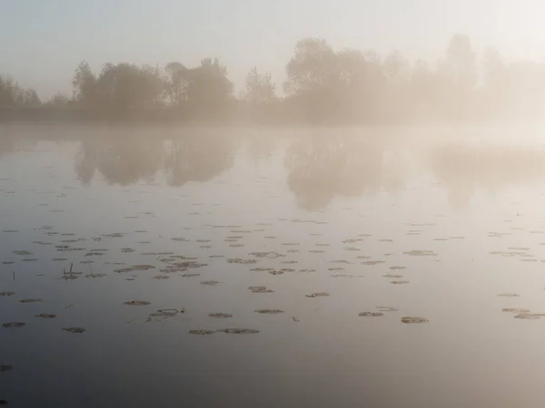 2020年泛滥成灾的草原附近的大雾弥漫的早晨 — 图库照片