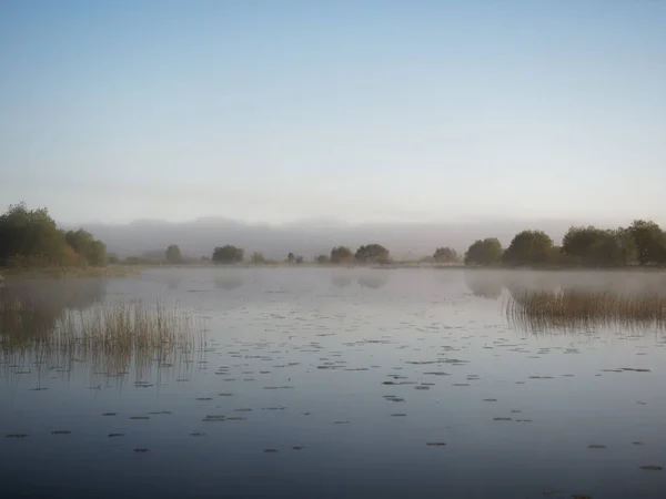 Matin Brumeux Sur Rivière Près Prairie Inondable 2020 — Photo