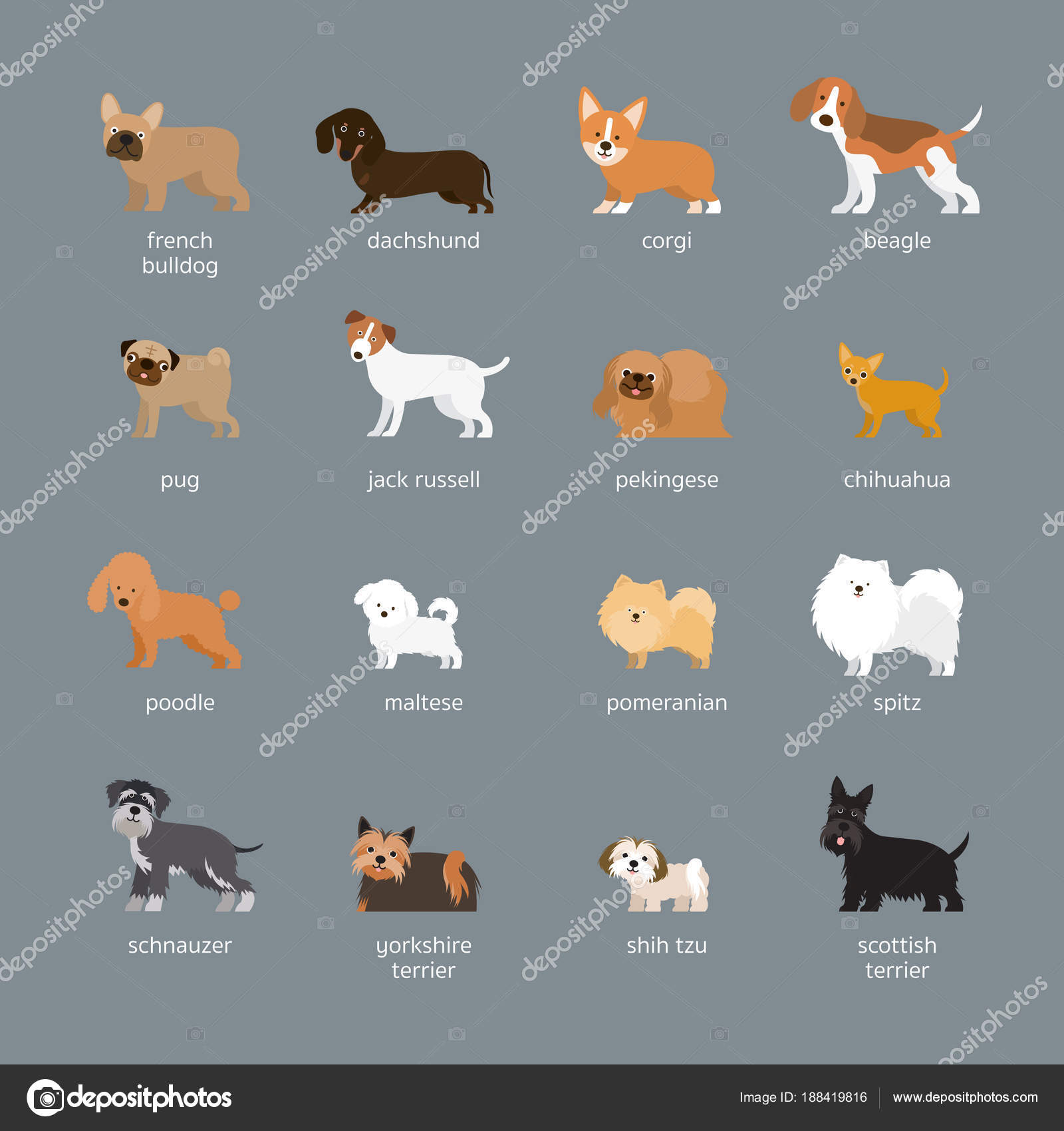 Dog Breeds Set, Small and Medium Size Stock Vector by