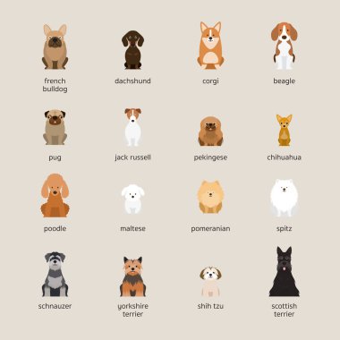 Set, küçük ve orta boy köpek ırkları