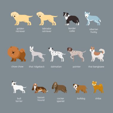 Set, büyük ve orta boy köpek ırkları