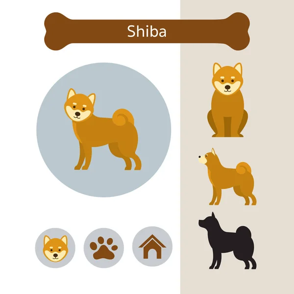 Chien Shiba Breed Infographie — Image vectorielle