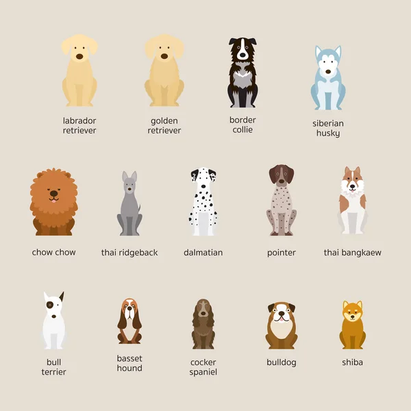 Dog Breeds Set, Large and Medium Size — Stock Vector