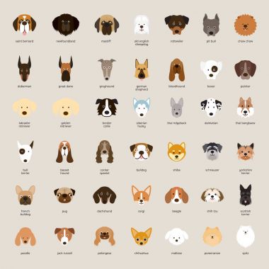 Köpek doğurmak, kafa Set