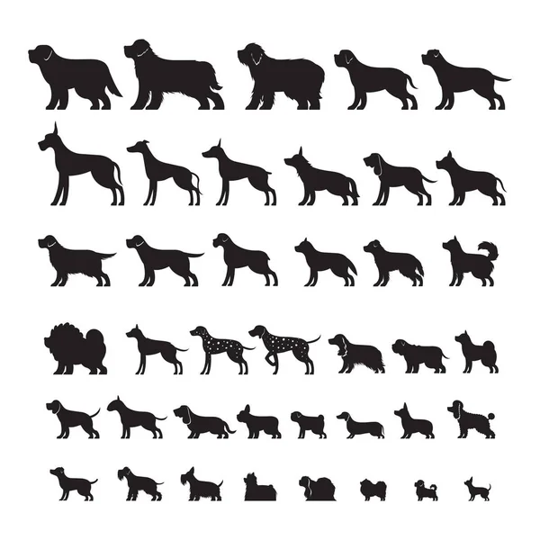 Hond silhouet rassen, Set — Stockvector