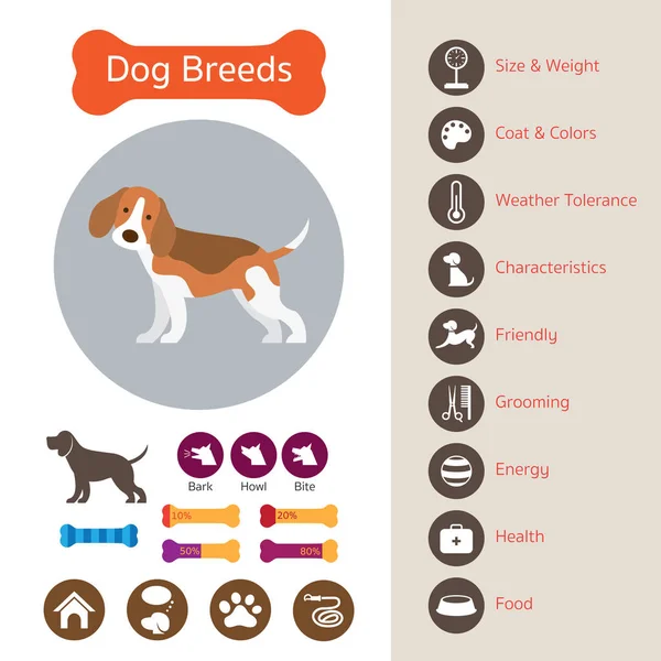 Dog Breeds, Infographic — Stock Vector