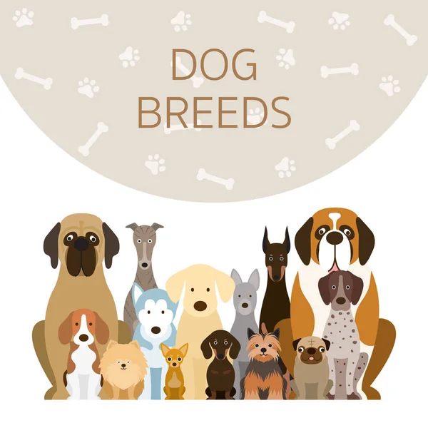 Groupe de races de chiens Illustration — Image vectorielle